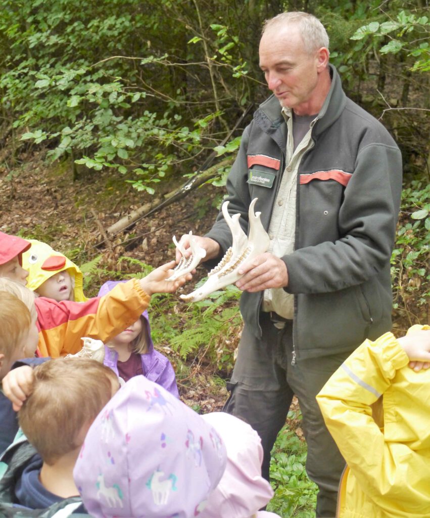 Westerwald Kinder Haben Die Geheimnisse Der Bäume Erkundet Westerwald Kinder 0958